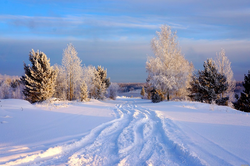 Вы собрались отдохнуть на природе, насладиться красотой зимнего леса? Не забывайте о простых правилах