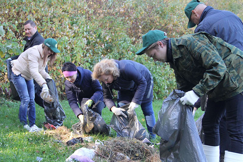 Как прошла акция «Чистый лес» в Минском районе
