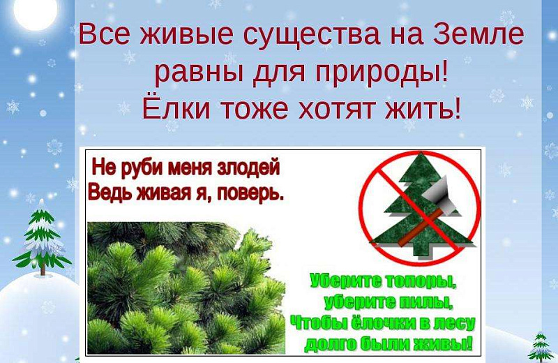 Минский областной комитет природных ресурсов и охраны окружающей среды в преддверии новогодних праздников напоминает об ответственности за незаконную вырубку елей. 